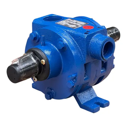 Bomba De Vacuo 300 Litros Triunfo aramidas