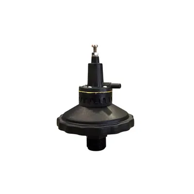 Regulador De Vacuo Servo Assistido Gimenez (Gmz)