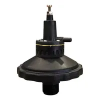 Regulador de vacuo servo assistido Gimenez - imagem 2