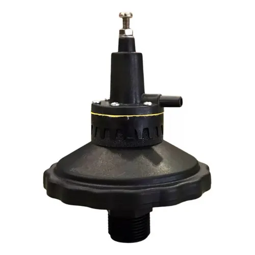 Regulador de vacuo servo assistido Gimenez