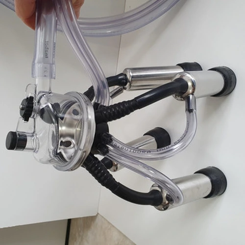 2943 - CONJ ORDENHA GMZ CPL C/TARRO TETEIRA INABOR