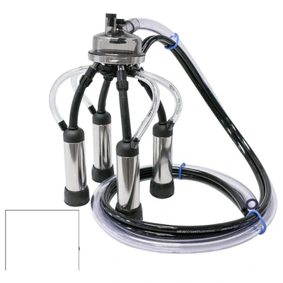 Conjunto Para Ordenhadeira Canalizada Sem Pulsador 