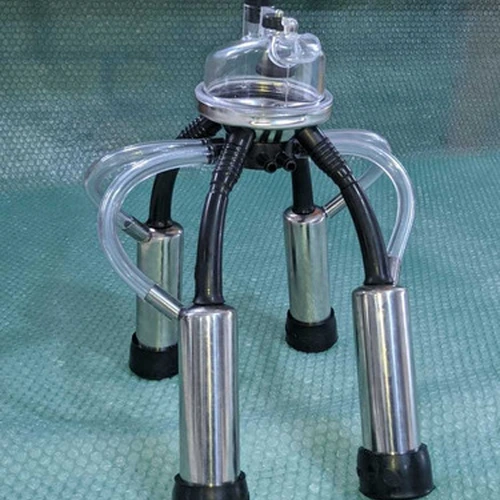 Conjunto Para Ordenhadeira Canalizada Sem Pulsador 