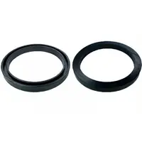 10495 - ANEL DE VEDACAO DO AERADOR EUROLATTE - imagem 1