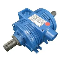 Bomba De Vacuo 600 L Triunfo (4 Pés) Bvt 2 Para Ordenhadeira - imagem 1