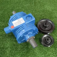 Bomba de vacuo 600 l Triunfo (4 pés) bvt 2 para ordenhadeira - imagem 9