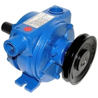 Bomba De Vacuo 300 Litros Triunfo (2 Pes) Palheta Aramida - imagem 1