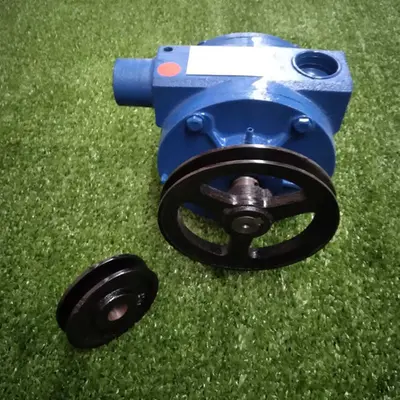 Bomba De Vacuo 300 Litros Triunfo (2 Pes) Palheta Aramida