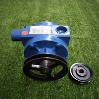 Bomba De Vacuo 300 Litros Triunfo (2 Pes) Palheta Aramida - imagem 8