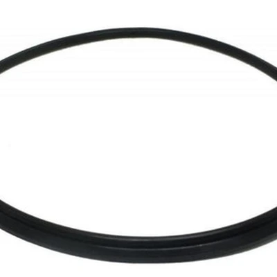 ANEL DE VEDACAO DO DEPOSITO DE VACUO AEREO GMZ