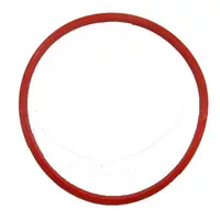 2019 - ANEL DE VEDACAO DO COLETOR 350ML - imagem 1