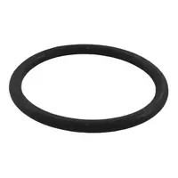 Anel De Vedacao Do Coletor 180ml (sulinox/intermaq) - imagem 1