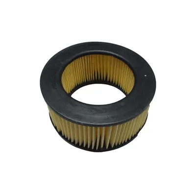 Filtro grande de ar do servo assistido Eurolatte