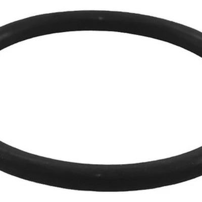 2542 - ANEL DE VEDACAO DO COLETOR ORDEMAX / INCOMAGRI