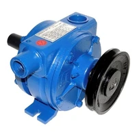 303 - BOMBA DE VACUO 300L (2 PES) TRIUNFO BVT 1 - imagem 1