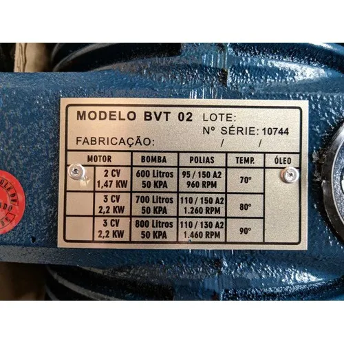 303 - BOMBA DE VACUO 300L (2 PES) TRIUNFO BVT 1