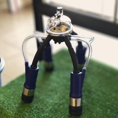 Kit Aranha Ordenha Coletor 450 Ml Com Capa Triangular 