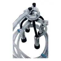 Conjunto De Ordenhar Duplo, Ordenha 2 Vacas Juntas - imagem 3