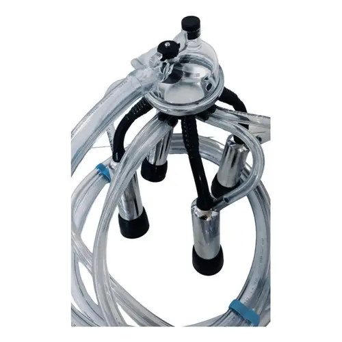 Conjunto De Ordenhar Duplo, Ordenha 2 Vacas Juntas