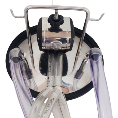 Conjunto De Ordenhar Duplo, Ordenha 2 Vacas Juntas