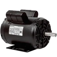 Motor Para Ordenhadeira 1cv Baixa Rotação Mono 110/220 Volts - imagem 7
