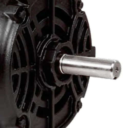 Motor Para Ordenhadeira 1cv Baixa Rotação Mono 110/220 Volts
