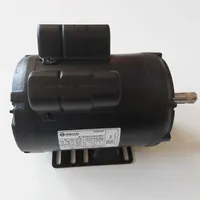 Motor Para Ordenhadeira 1cv Baixa Rotação Mono 110/220 Volts - imagem 1