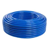 MANGUEIRA GROSSA DO VACUO AZUL - RS - imagem 5