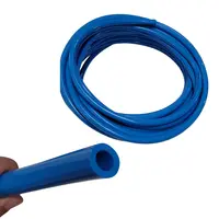 MANGUEIRA GROSSA DO VACUO AZUL - RS - imagem 1