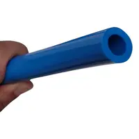 MANGUEIRA GROSSA DO VACUO AZUL - RS - imagem 3