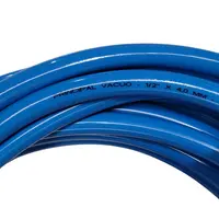 MANGUEIRA GROSSA DO VACUO AZUL - RS - imagem 2