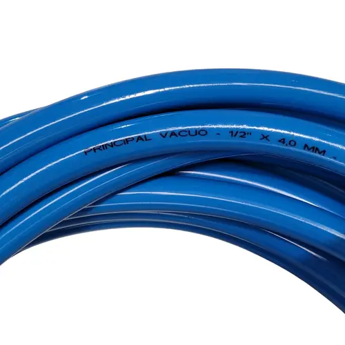 MANGUEIRA GROSSA DO VACUO AZUL - RS