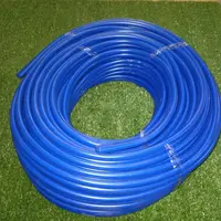 MANGUEIRA DUPLA DO VACUO AZUL -RS - imagem 9