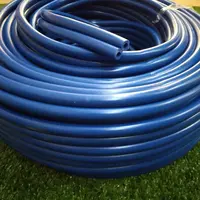 MANGUEIRA DUPLA DO VACUO AZUL -RS - imagem 1