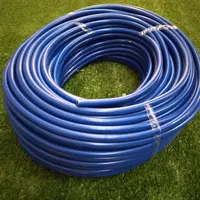 MANGUEIRA DUPLA DO VACUO AZUL -RS - imagem 6