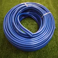 MANGUEIRA DUPLA DO VACUO AZUL -RS - imagem 4