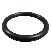 ANEL PRISIONEIRO DAS MANGUEIRAS DUPLA E GROSSA - imagem 2