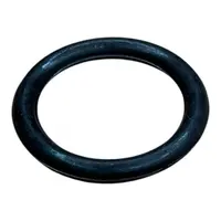 ANEL PRISIONEIRO DAS MANGUEIRAS DUPLA E GROSSA - imagem 1