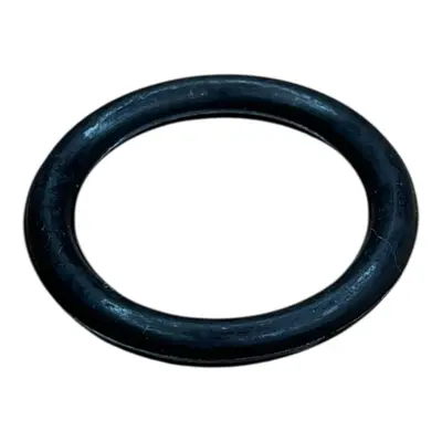 ANEL PRISIONEIRO DAS MANGUEIRAS DUPLA E GROSSA