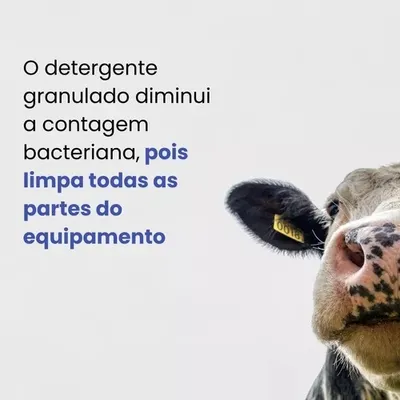 Detergente Espumante Para Limpeza De Resfriadores De Leite 800G - Ordetanque