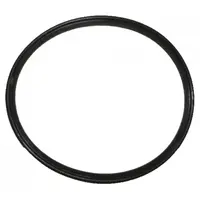 Anel de vedação do lavador automático WF - imagem 1