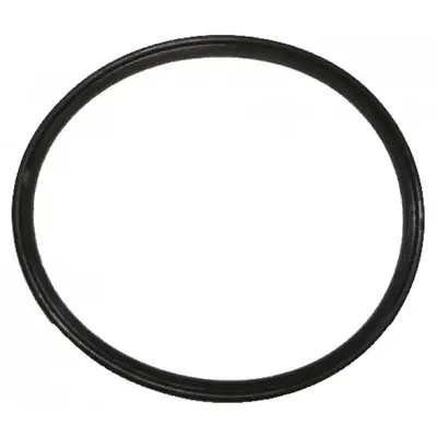 Anel de vedação do lavador automático WF