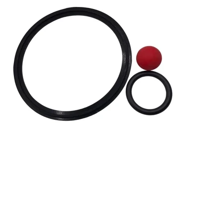 Kit reparo bomba de leite 