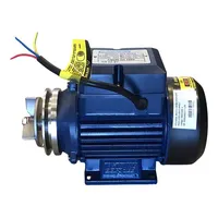 Mini Bomba Centrífuga 0.5cv Para Transferência De Líquidos - imagem 2