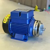 Mini Bomba Centrífuga 0.5cv Para Transferência De Líquidos - imagem 3