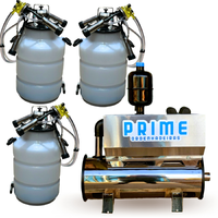 Ordenhadeira Inox Prime Balde ao Pé BV 300L 1CV até 3 Conjuntos - imagem 3