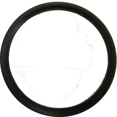 ANEL DE VEDACAO DA BOMBA DE LEITE (20701)