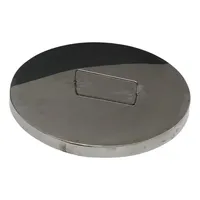 Aquecedor de água para ordenha em inox 75 litros prime - imagem 5