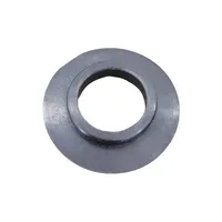 Encosto do rolamento da bomba de vácuo Triunfo 300/450l - imagem 1