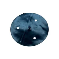 CONJUNTO DO PISTAO DE DIAFRAGMA PANAZOO - imagem 1